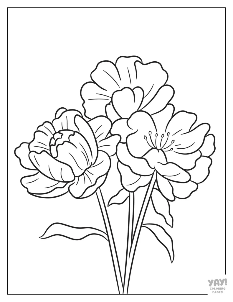 Flower Coloring Pages (Free Printables) regarding Printable Picture Of A Flower
