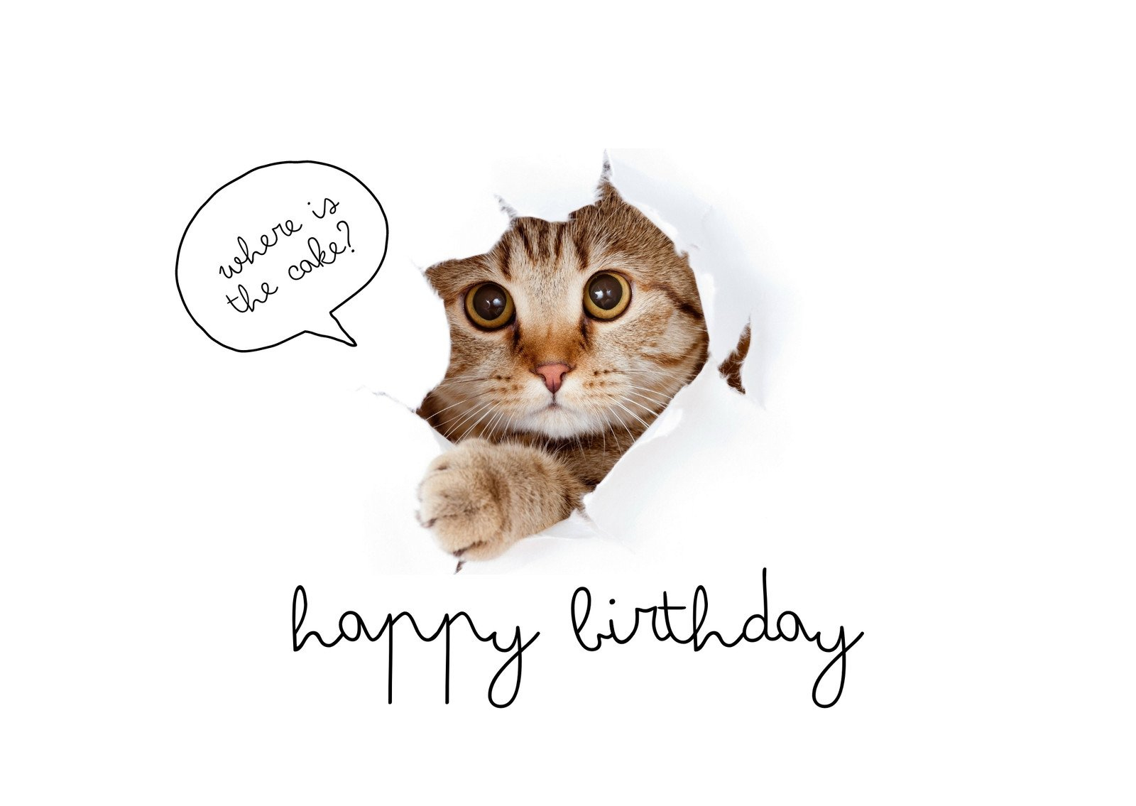 Free Printable Funny Birthday Card Templates | Canva with Free Printable Funny Birthday Card