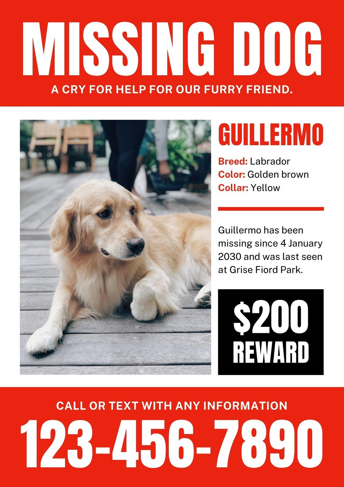 Lost Poster Free Lost Pet Flyer Free Printable, Customizable Lost with Printable Lost Dog Poster Template