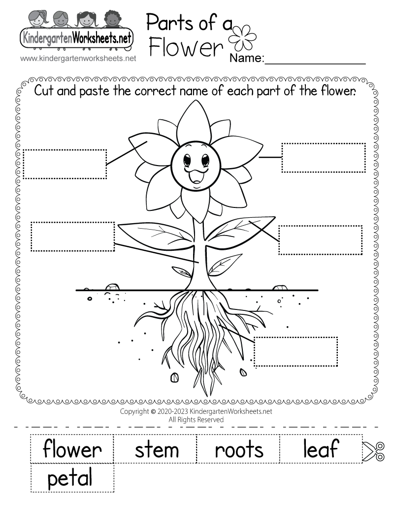 Parts Of A Flower Worksheet - Free Printable, Digital, &amp;amp; Pdf within Science Worksheets For Kindergarten Free Printable