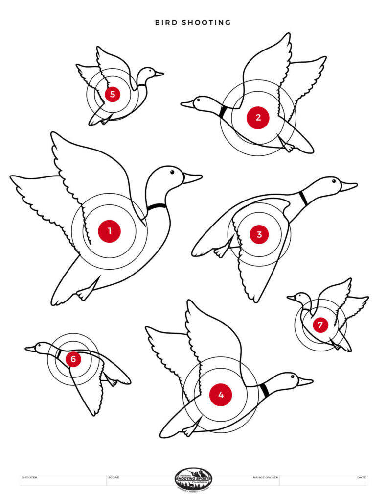 Printable Shooting Targets And Gun Targets • Nssf for Funny Printable Targets For Shooting