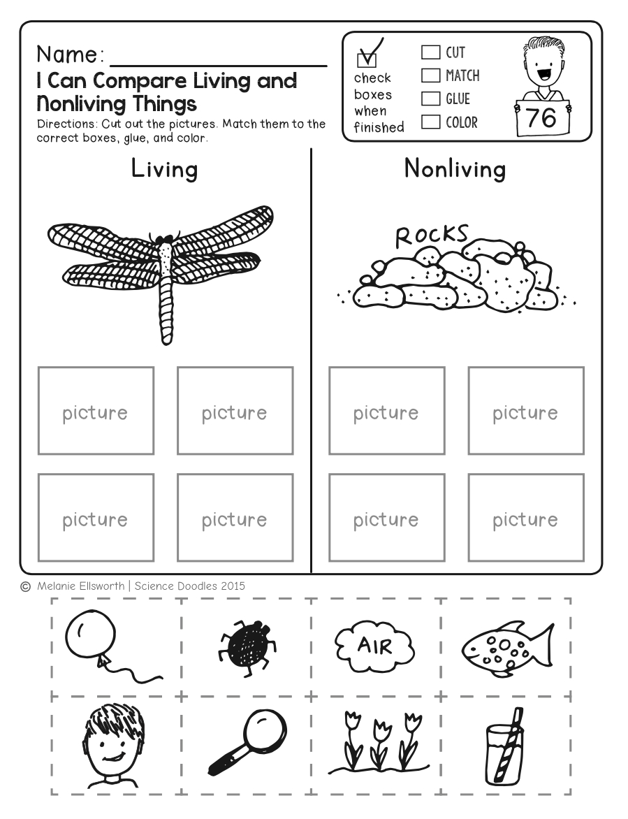 Science Worksheets For Kindergarten (Free Printables) - Worksheets inside Science Worksheets For Kindergarten Free Printable