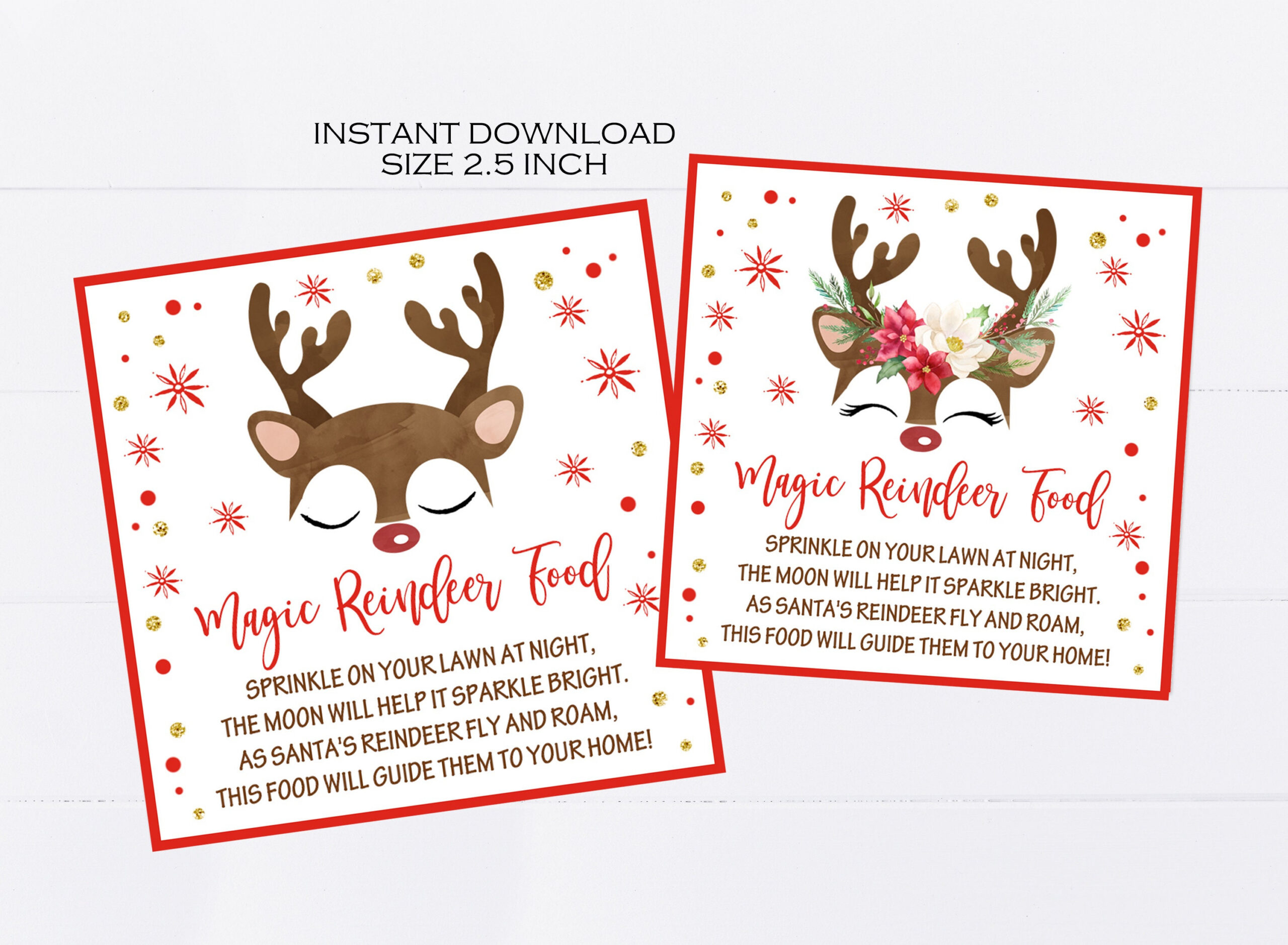 Magic Reindeer Food Tags Printable, Christmas Party Favors in Reindeer Food Printable Labels